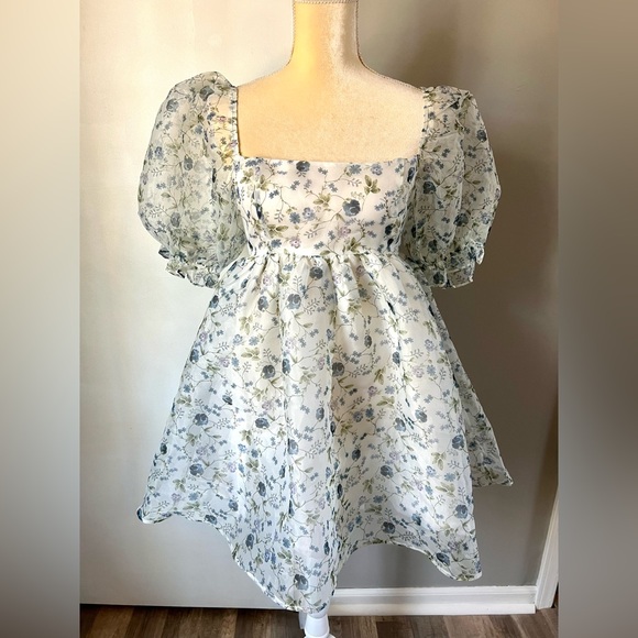 NWT Audrey Parks x Francesca’s Asha Floral Chiffon Babydoll Mini Dress Size S - Picture 3 of 14